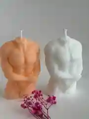Молд силиконовый для свечей "Мужской торс", Color Si