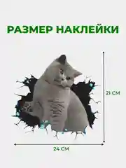 Тёмно-серый наклейки интерьерные "Коты" на бачок или крышку унитаза, на холодильник