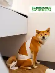 Серый наклейки интерьерные "Котики" на крышку или бачок унитаза, холодильник
