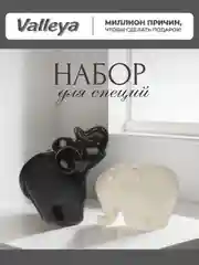 Белый набор для специй