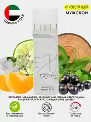 Серебряный дезодорант мужской, спрей парфюмированный с ароматами известных брендов, ОАЭ, 200 мл