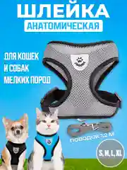 Серый шлейка с поводком светоотражающая для собак и кошек