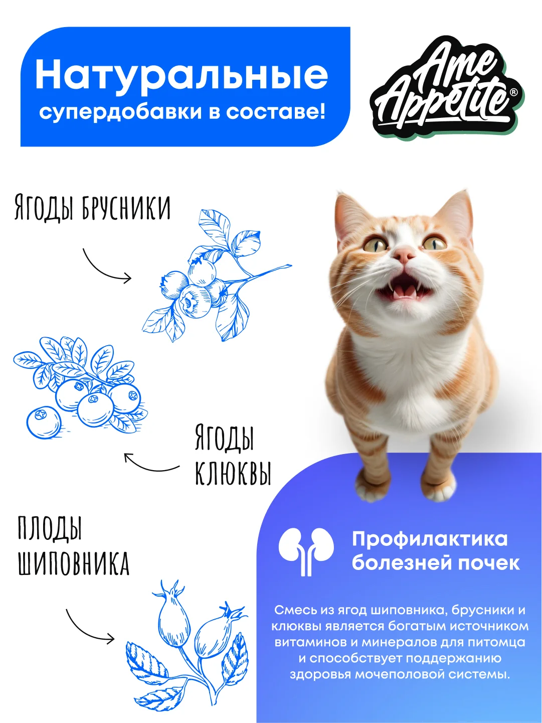 AmeAppetite сухой полнорационный корм с индейкой для взрослых кошек от 1 года