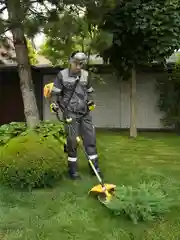 Триммер кусторез бензиновый для травы садовый Partner for Garden GT 40, ширина  44 см
