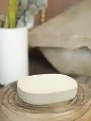 Мыльница "White Pion"