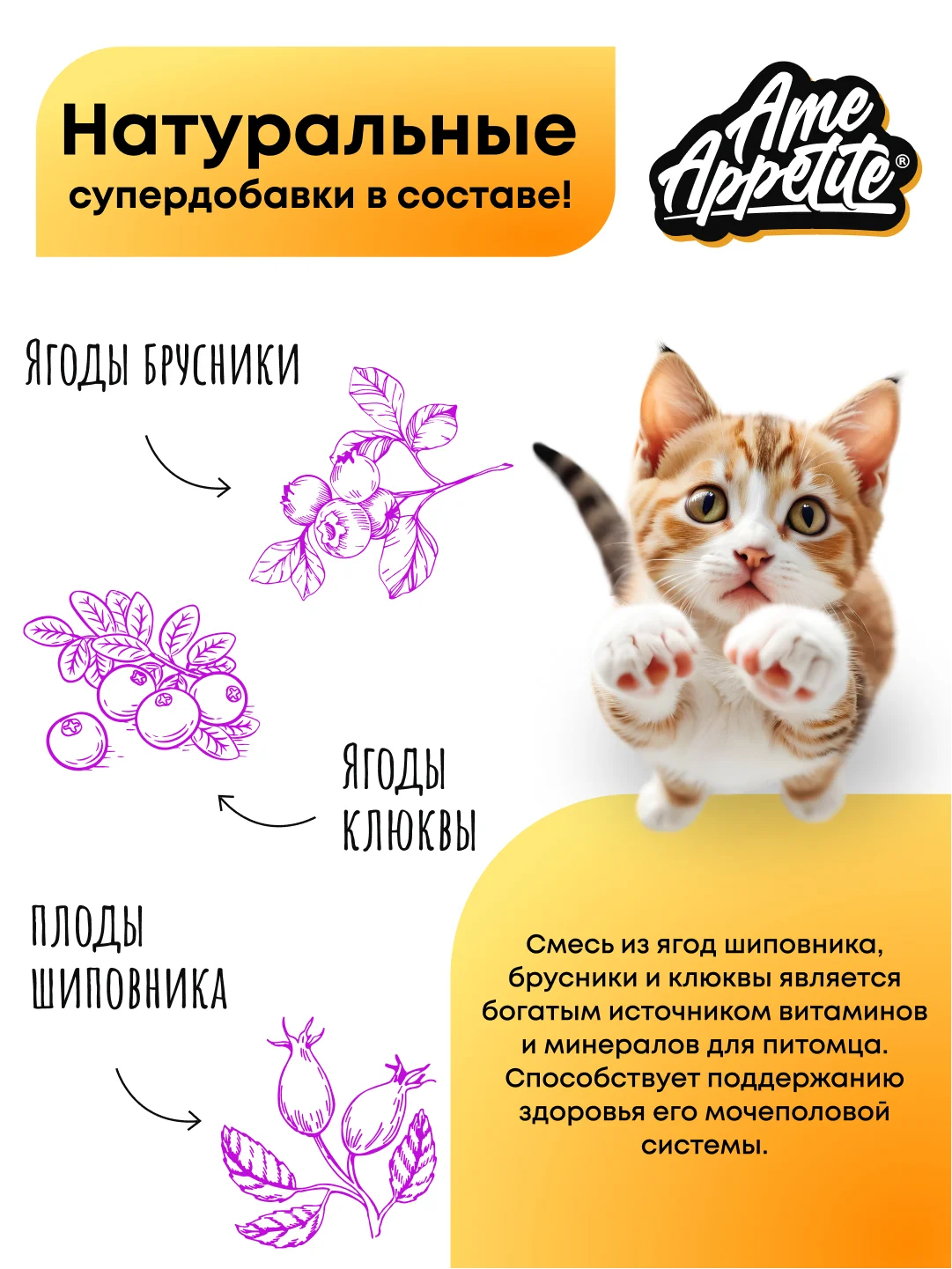 AmeAppetite сухой полнорационный корм с курицей для котят с 2 до 12 месяцев