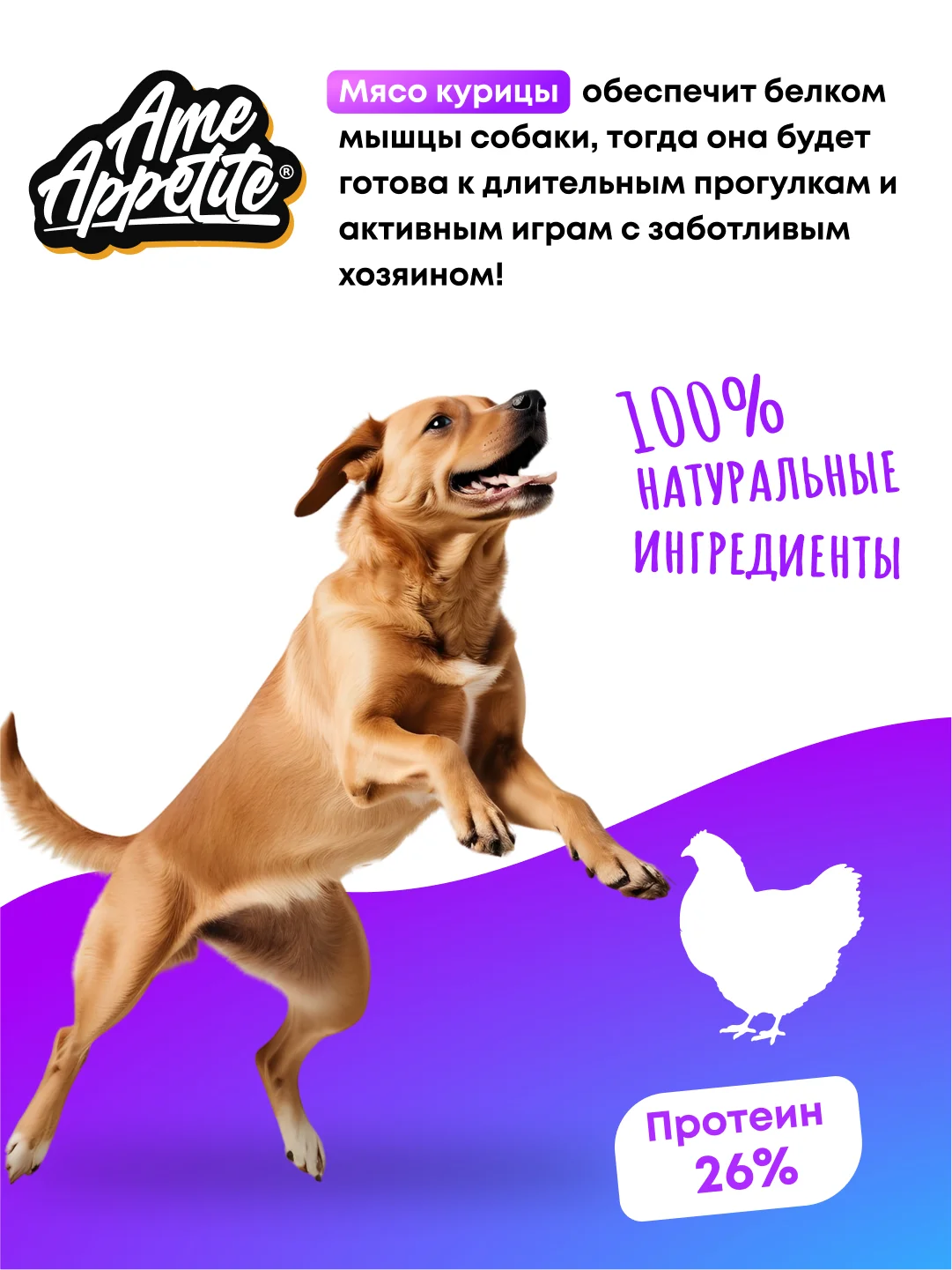AmeAppetite сухой полнорационный корм с курицей для взрослых собак всех пород от 1 года