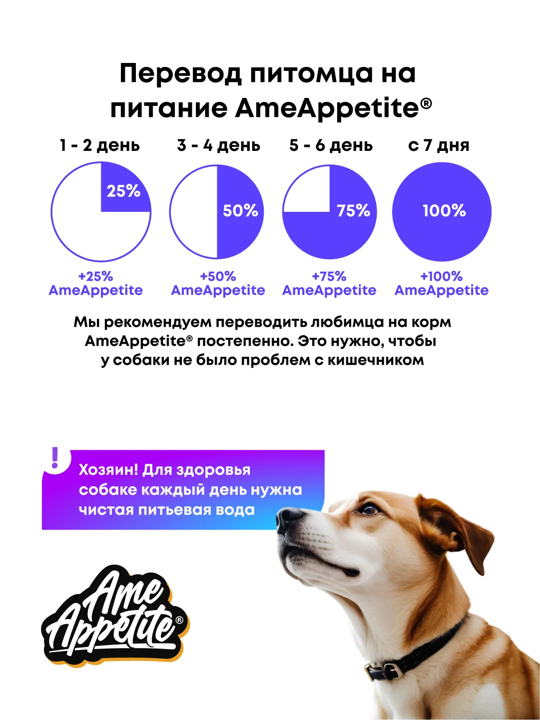 AmeAppetite сухой полнорационный корм с курицей для взрослых собак всех пород от 1 года