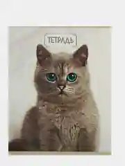 Бежевый тетрадь общая в клетку, 48 листов, обложка из картона