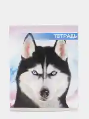 Голубой тетрадь общая в клетку, 48 листов, обложка из картона