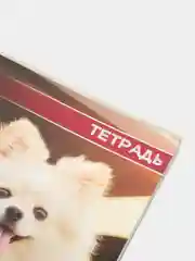 Голубой тетрадь общая в клетку, 48 листов, обложка из картона