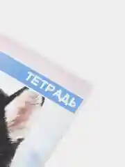 Голубой тетрадь общая в клетку, 48 листов, обложка из картона