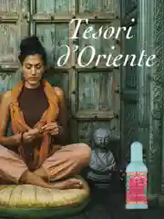 Духи фруктовые Ayurveda Аюрведа Туалетная вода 100 мл