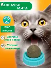 Игрушка кошачья мята, для кошек, шарик-лакомство, с кошачьей мятой