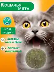 Зеленый игрушка кошачья мята, для кошек, шарик-лакомство, с кошачьей мятой