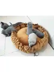 Медный лежанка для кошек и собак