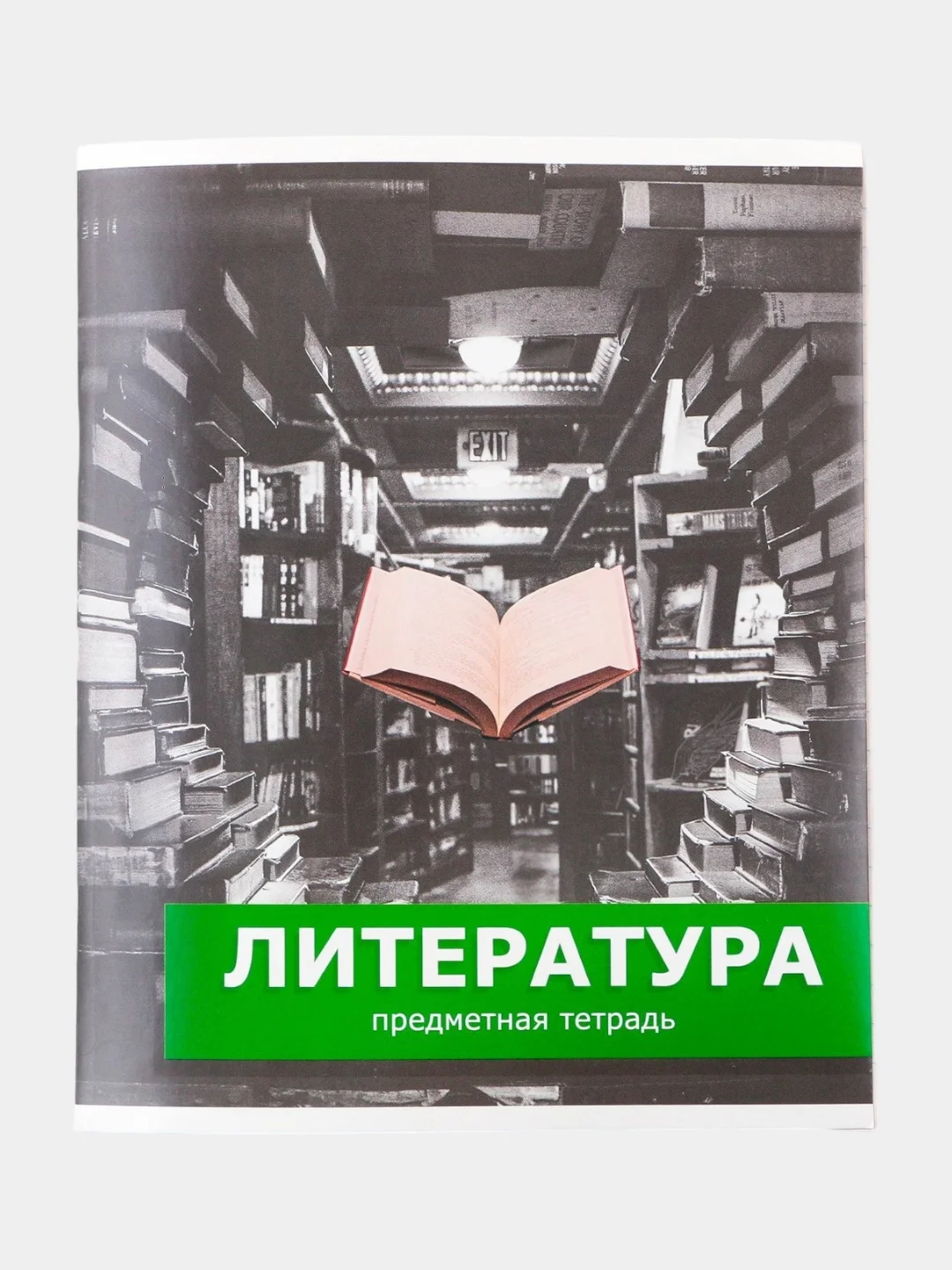 Зеленый тетрадь предметная "ПРЕДМЕТЫ", 48 листов