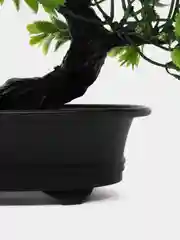 Лесной зеленый искусственное дерево "Бонсай"