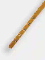 Бежевый ошейник для собак, одинарный, натуральная кожа