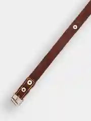 Бежевый ошейник для собак, одинарный, натуральная кожа