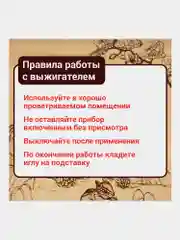 Прибор для выжигания по дереву "Вязь", 1 насадка, регулировка мощности, Трансвит