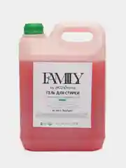 Гель для стирки белья универсальный FAMILY by ЭКО home, 5 л, 165 стирок, Яблоко