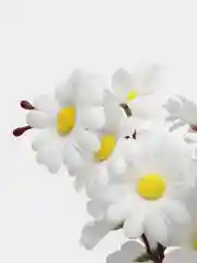 Белый искусственные цветы,ромашки на высокой ножке