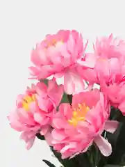 Розовый искусственные цветы астры