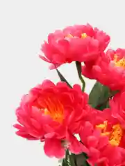 Тёмно-розовый искусственные цветы астры
