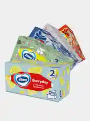 Салфетки бумажные в коробке Zewa Everyday, 2 слоя, 250 штук