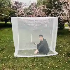 Москитная сетка для кровати