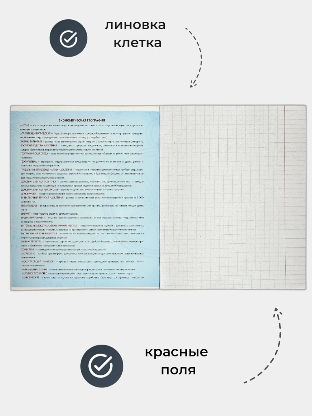 Тетрадь 48 листов в клетку, канцелярия для школы