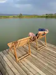 Деревянное складное кресло-шезлонг Backwood для дачи и пляжа