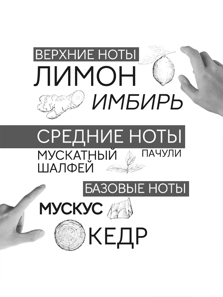 Парфюмерная вода 90 мл Art&nose Composition #6