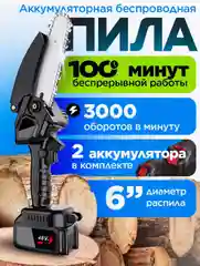 Пила цепная аккумуляторная / сучкорез с 2 аккумуляторами 6 дюймов