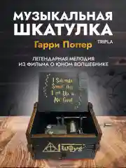 Музыкальная шкатулка Гарри Поттер Harry Potter