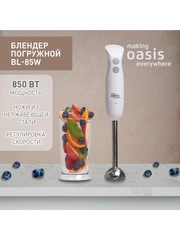 Погружной блендер making Oasis everywhere BL-135B