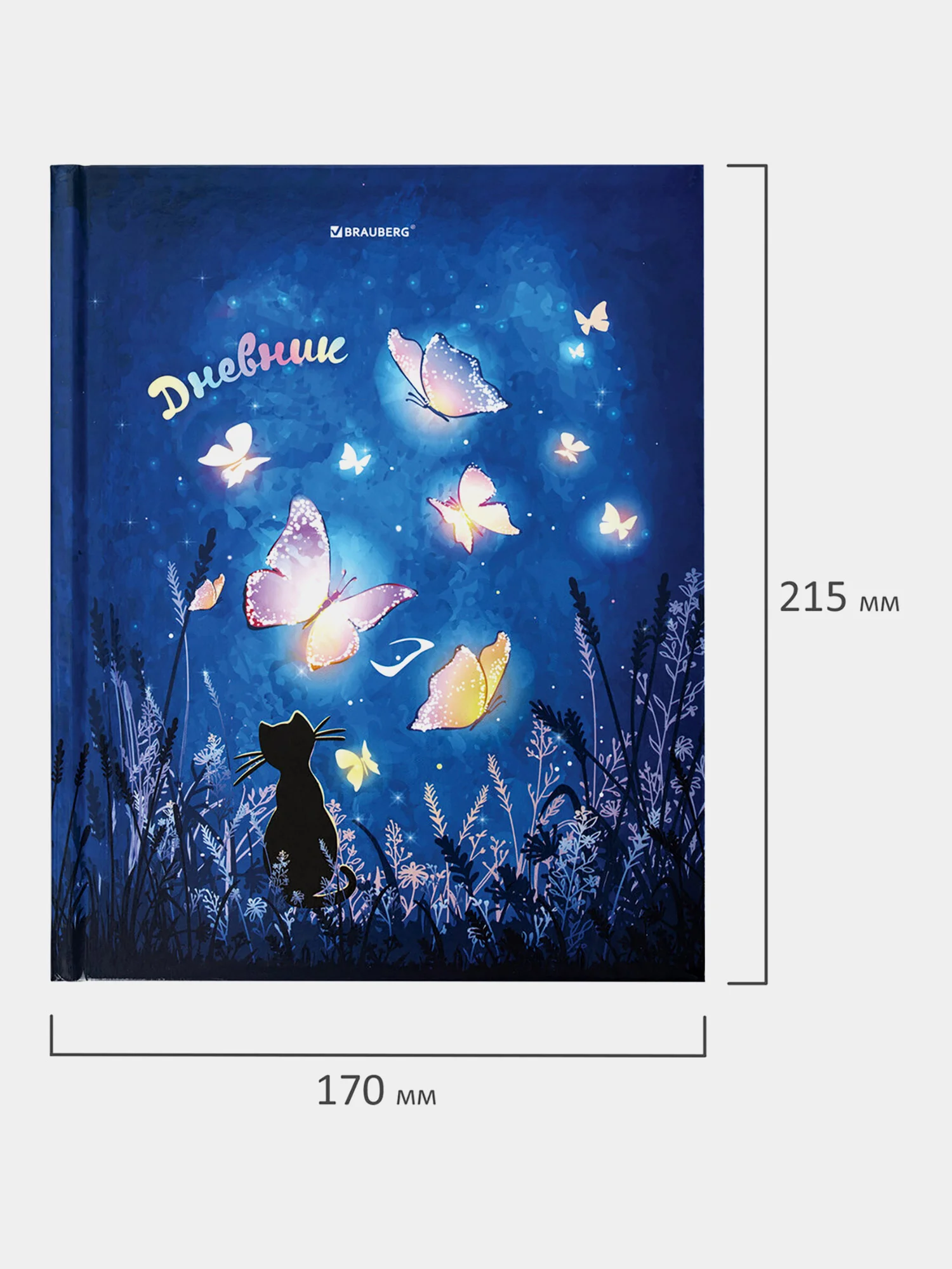 Дневник школьный 1-11 класс для девочки, 48 л, твердый, Sweet Dreams, Brauberg, 106647