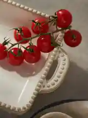 Форма для запекания и сервировки прямоугольная с ручками, керамика, 26,5х15х5,5 см