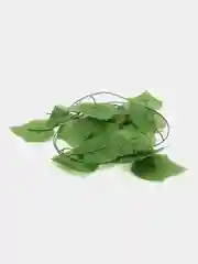 Зеленый лиана листья крупные искусственные. Для интерьера