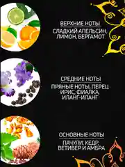 Парфюмированный гель для душа Аюрведа 250 мл