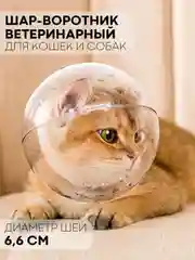 Прозрачный защитный воротник-шар для кошек и собак КАРТОФАН, ошейник для лечения, груминга и стрижки