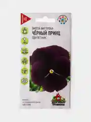Семена Цветов Виола Виттрока Черный Принц