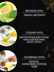 Парфюмированный гель для душа Karma 250 мл