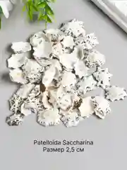 Серый металлик ракушки натуральные морские и океанические, грунт, наполнитель, декор для аквариума