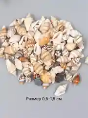 Хаки ракушки натуральные морские и океанические, грунт, наполнитель, декор для аквариума