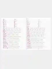 Прописи каллиграфические А5/Проф-Пресс