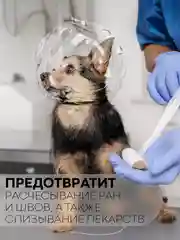 Прозрачный защитный воротник-шар для кошек и собак КАРТОФАН, ошейник для лечения, груминга и стрижки