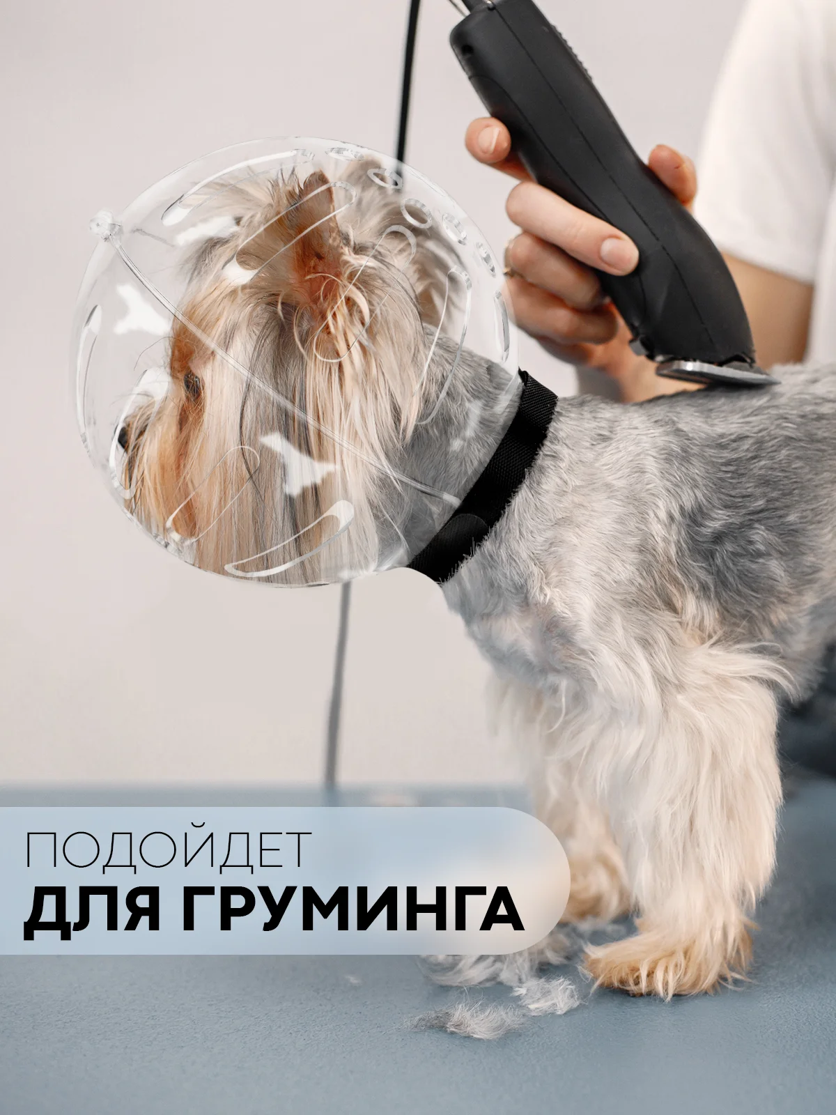 Прозрачный защитный воротник-шар для кошек и собак КАРТОФАН, ошейник для лечения, груминга и стрижки