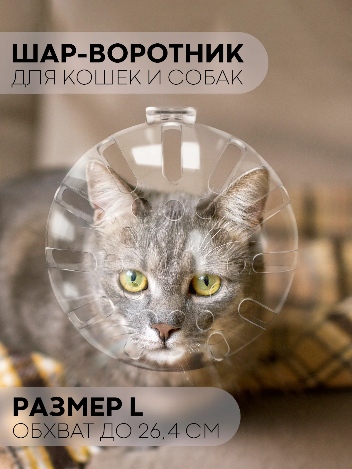 Прозрачный защитный воротник-шар для кошек и собак КАРТОФАН, ошейник для лечения, груминга и стрижки